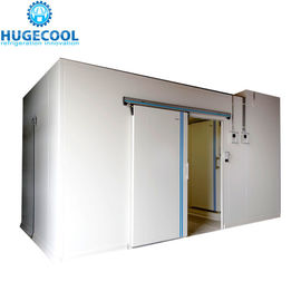 Sala fria do painel do plutônio, sala fresca do congelador com função da congelação rápida