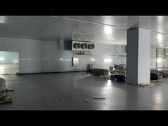 Carne congelada Carne bovina Frango Alimentos do mar Sala de frio