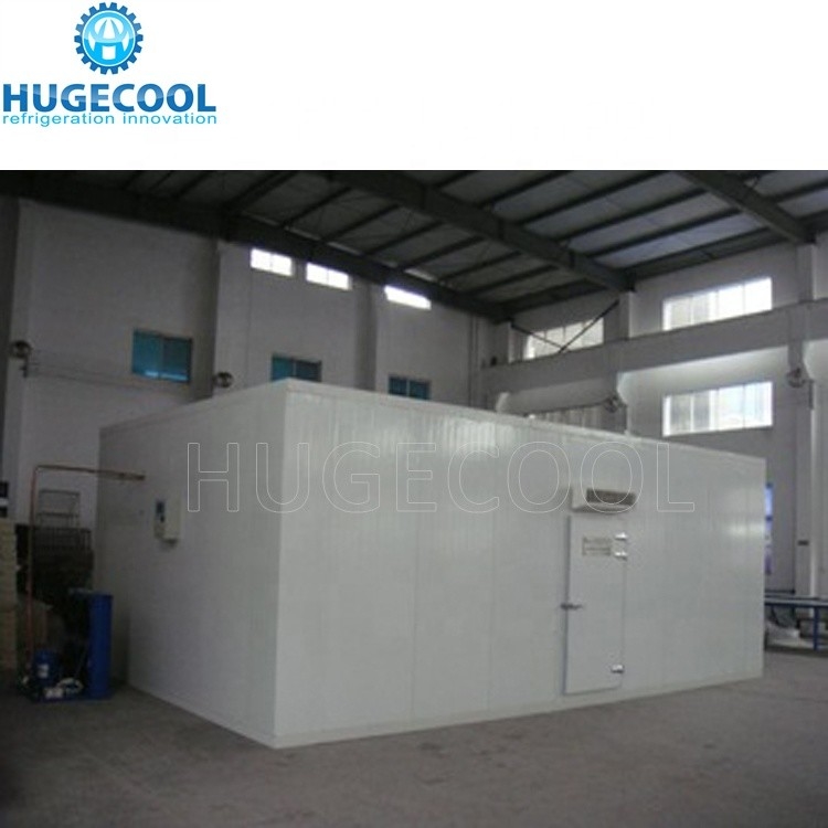 Fish Refrigeration Chamber Walk in Freezer Cold Storage Room