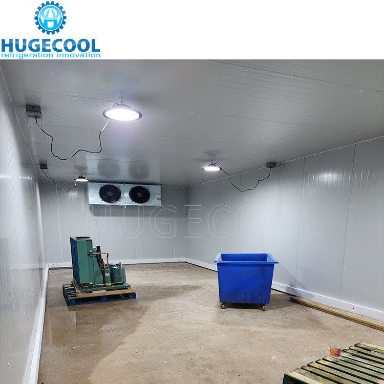 Small Size Cold Storage Room Price Refrigerated Cold Room Walk in Cooler for Meat and Seafood